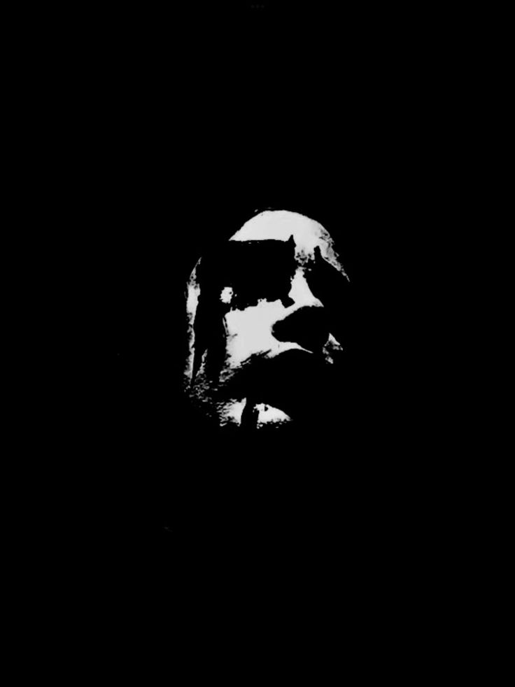 sin's profile picture